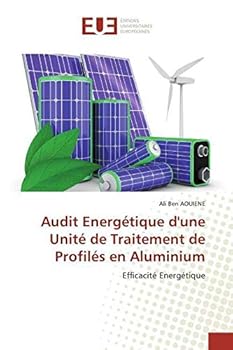 Paperback Audit Energétique d'une Unité de Traitement de Profilés en Aluminium [French] Book