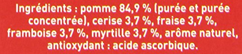 Compotes 5 Fruits Pomme Fraise Myrtille Cerise Sans Sucres Ajoutés Pom'potes Les 4 Gourdes De - vue 4