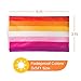 Sapphere Sunset Lesbian Pride Flag - Large 3x5FT, Double Sided Print, Waterproof, Sleeve and Metal Grommets, Vibrant Orange and Magenta Colors
