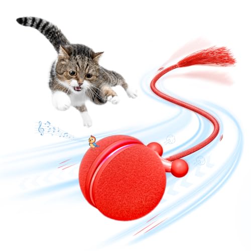 Cheerble-Interactive-Cat-Toy-Ball-Smart-Automatic-Electric-Cat-Toys-for-Indoor-Cats-with-3-Speeds-Chirping-Moving-Motion-Activated-Teaser-Rolling-Ball-Toy-for-CatsSmall-Dog-to-Keep-Them-Busy Cheerble Interactive Cat Toy Ball, Smart Automatic Electric Cat Toys for Indoor Cats with 3 Speeds, Chirping Moving Motion Activated Teaser Rolling Ball Toy for Cats/Small Dog to Keep Them Busy - Image 1