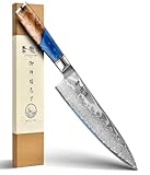 Japanese Chef Knife, 8 Inch Damascus Kitchen Knife with VG10 Steel, Handcrafted Sharp Knife with Ergonomic Handle, Cooking Knives for Home Chefs, Cooking Gifts for Men and Women