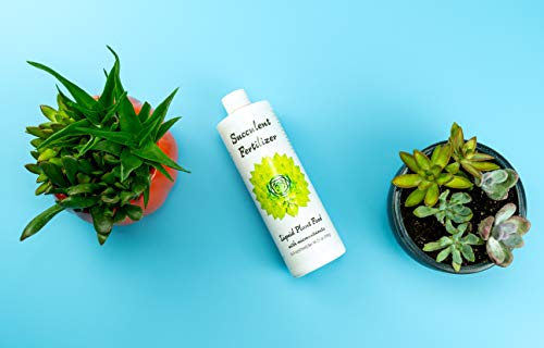 Succulent Fertilizer (16oz) Formulated Succulent Food for Potted Indoor Succulents and Cactus | Nutrients for Cacti and Succulent Plants | Plant Food for Succulent Soil in Pots | by Aquatic Arts