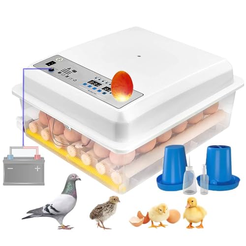 Chocadeira Incubadora 36 Ovos Automática com Virador, Controle de Temperatura e Umidade, Alimentação Dupla AC/DC (110V/12V) para Galinhas, Patos, Codornas e Aves