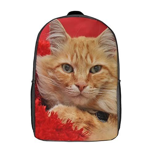 Sac à dos de voyage scolaire chat pour les sorties quotidiennes et les loisirs