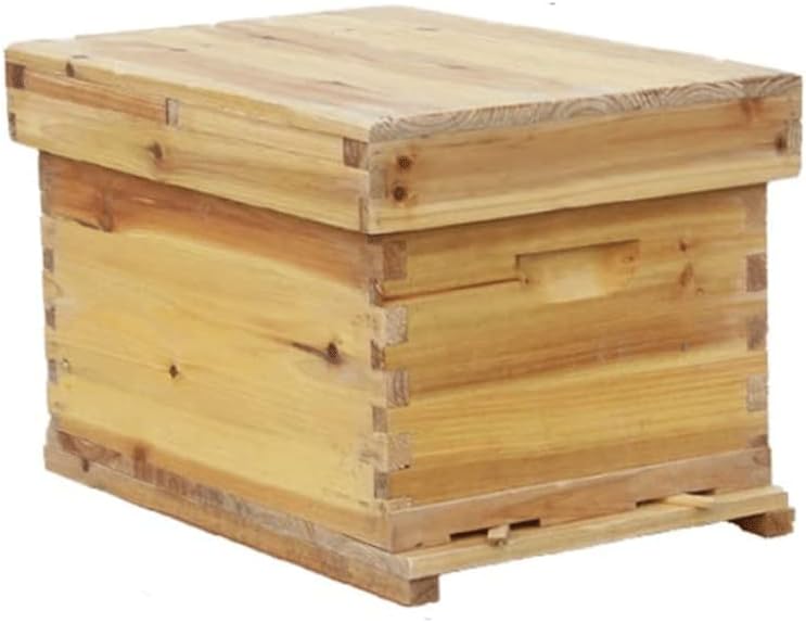 GTTBL Colmena de Abejas, Caja de Abejas de Colmena con 10 Marcos de Base de Panal Profundo Suministros de Mantenimiento de Abejas Kit de Inicio para Principiantes y apicultores