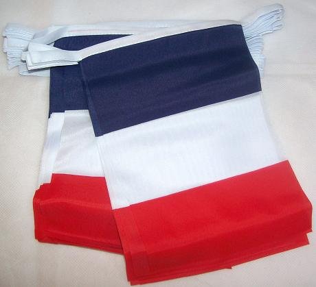 AZ FLAG France 4 meters BUNTING Flag 20 flags 6'' x 4'' - French STRING flags 10 x 15 cm