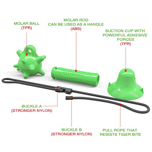 Ajcoflt Molar de cachorro brinquedo cachorro mastigar brinquedo cachorro puxar corda brinquedo inter