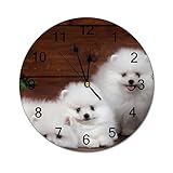 Dimensioni: 25 x 25 cm Moderno orologio da parete rotondo Pomerania, cucciolo bianco soffice cane Spitz silenzioso non ticchettio orologio da parete per cucina, ufficio, orologio da appendere retrò, 20 cm