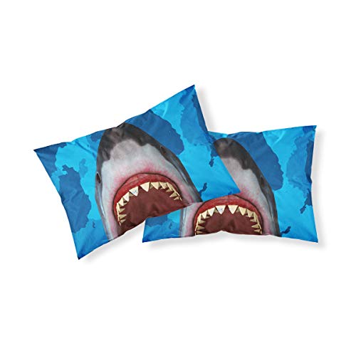 Double Shark Bedding Set,Blue Sea and Marine Comforter Set Ocean Theme Decor Soft Breathable Quilt Sets for Adult Kids ,Sea Animal Decor 3 Piece Underwater Bedding Duvet Cover with 2 Pillow Shams - Image 2