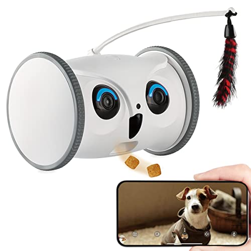 Keep an Eye on Your Furry Friend with Reliable Pet Cameras!