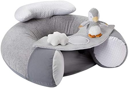 Nuby Penguin Sit-Me-Up Baby Seat. Inflatable Sit & Play Floor Seat With Tray And Baby Toys (Pack of 1)