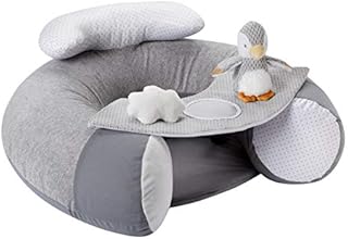 Nuby Penguin Sit-Me-Up Baby Seat. Inflatable Sit & Play Floor Seat With Tray And Baby Toys (Pack of 1)