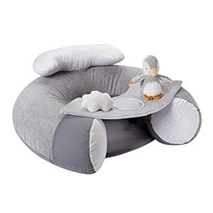 Nuby Penguin Sit-Me-Up Babyschale - Aufblasbarer Sitz auf dem Boden, Abnehmbares Tablett, Maschinenwaschbar, Geeignet ab 6 Monaten (Grau)