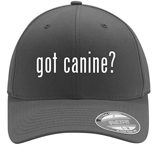 Best Canine Adequan