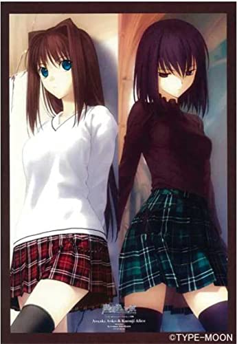 希少 魔法使いの夜 特大サイズ タペストリー 販促 非売品 TYPE-MOON Amazon.co.jp: 魔法使いの夜 タペストリー コンプティーク2010年7月号
