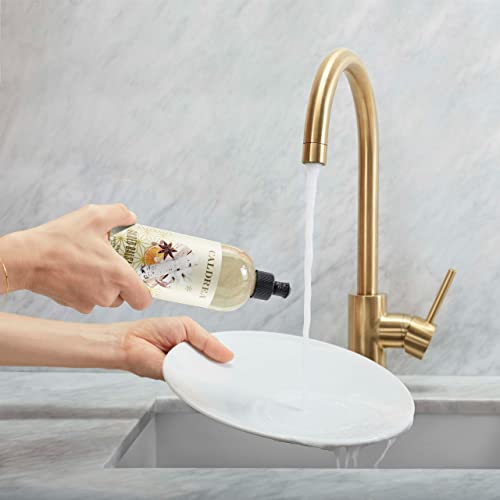 Image of Caldrea Dish Soap, Biodegradable Dishwashing Liquid made with Soap Bark and Aloe Vera, Gilded Balsam Birch Scent, 16 oz