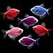 GloFish Live Fish Collections (Tetra Basic)