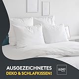 LILENO HOME Kissenfüllung 50x60 (6er Set) | Pralle Füllung für Couchkissen & Dekokissen 50x60 | Wolkenweiches Sofa Pillow & Schlafkissen Made in Germany | Kissen Set mit Oeko-Tex Klasse 1
