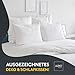 LILENO HOME Kissenfüllung 50x60 (6er Set) | Pralle Füllung für Couchkissen & Dekokissen 50x60 | Wolkenweiches Sofa Pillow & Schlafkissen Made in Germany | Kissen Set mit Oeko-Tex Klasse 1
