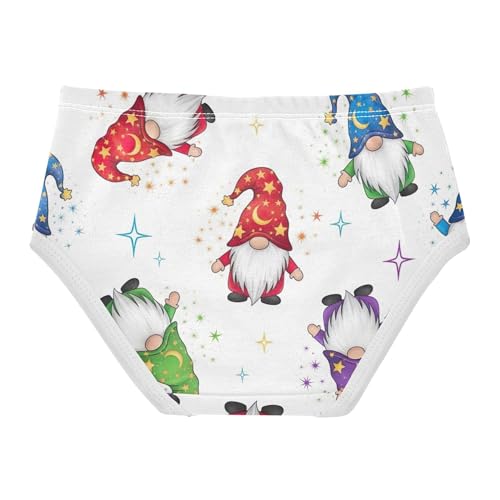 Toddler Girls Underwear 2t Cotton Cute Panties Girl Fun Print Kids Undies Briefs Colorful Gnomes St2