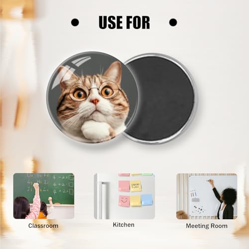 Set de 6 imanes de cristal para nevera diseño gatos miniatura 4