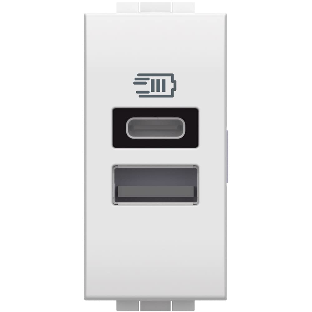 Bticino L4191AC Caricatore USB Con Due Ingressi Tipo A E C, Da Installare Nella Placca Livinglight, Per Ricaricare Un Dispositivo Elettronico Fino A 15W O Due Dispositivi Assieme, 1 Modulo, Antracite