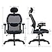 Office Chair Ergonomic Office Chair Adjustable Office Chair with Lumbar Support Armrest Headrest High Back Tast Chair for Home and Office (Black)