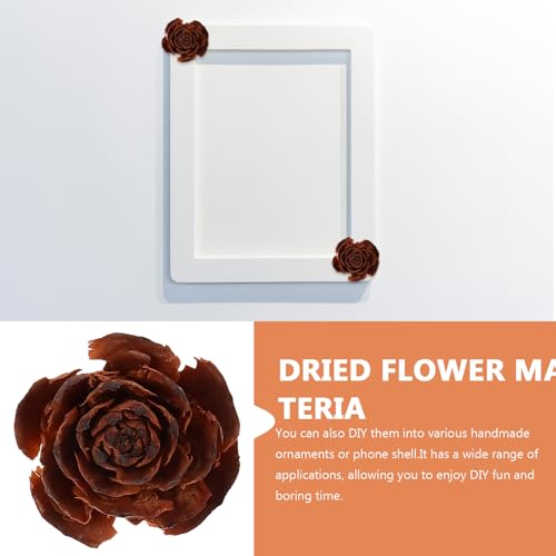 Flores Secas Naturales y Conos de Pino 10pcs Set miniatura 3