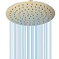 10 Inch Round Rainfall Shower Head, BSTIIU Stainless Steel High Pressure Waterfall Full Body Coverage Shower Head, Ultra Thin Rainfall Shower Head, Brushed Gold