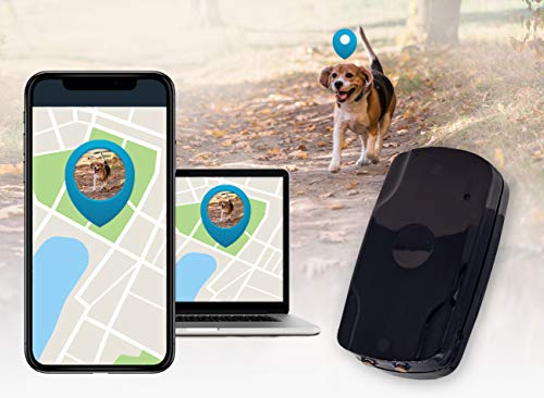 Salind GPS PET Tracker GPS Tracker für Hunde Wasserdicht mit Live-Tracking etwa 2 Tage Akkulaufzeit (bis zu 3 Tage im Standby Modus)