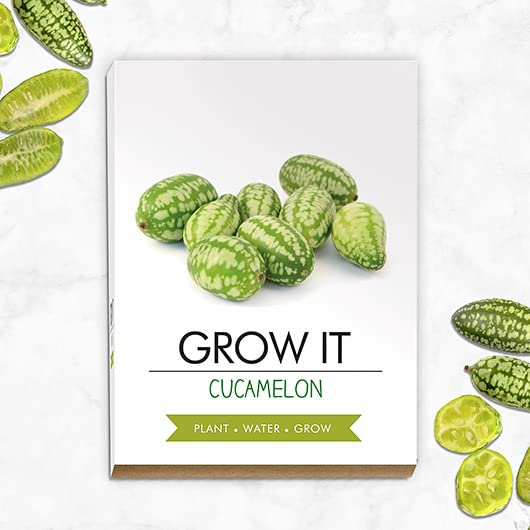 Grow Your Own CUCAMELON Kit