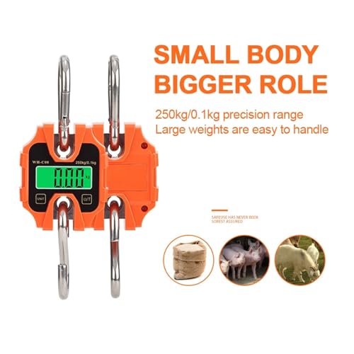 Balance numérique de haute précision 250 kg portable suspendue électronique