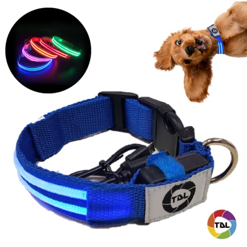 TDL Collare LED Luminoso per Cani | Impermeabile |...