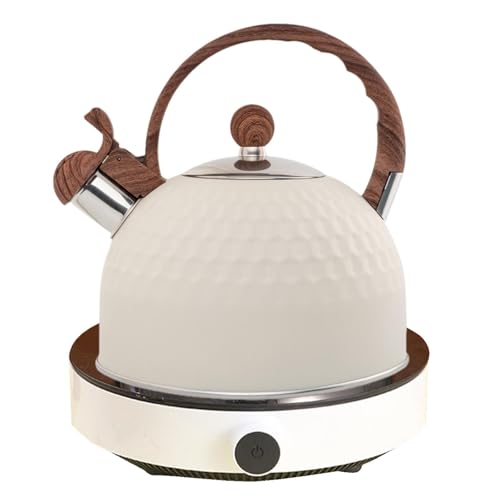 Hervidor de té para la estufa, 2,5 litros de acero inoxidable, hervidor de agua para fogones, para jardines, porches, césped, fiestas, hogar, residencias, picnics y camping