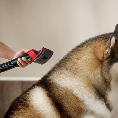 Image of Dyson Pet Grooming kit for Your V16 Piston Animal Cordless Vacuum