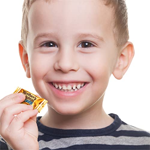 Werther's Original Hard Sugar Free Caramel Chocolate Candy, 1Lb Bulk Bags #TOP7