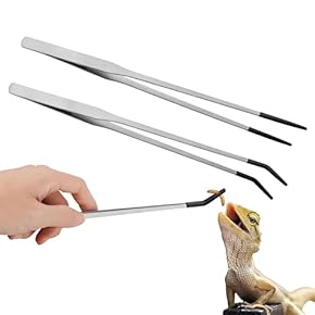 爬虫類・両生類用餌入れ・食器 - Amazon.co.jp