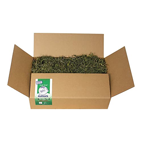 Paja de Alfalfa Premium para Roedores 20 lb