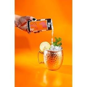 Fiery Ginger Beer by The Artisan Drinks Company – 200mlx24 cans – Natural Ingredients – A Blend of Root Ginger, Cloudy Lemon And A Hint of Chilli – Ginger Beer for Rum, Bourbon & Vodka Fiery Ginger Beer by The Artisan Drinks Company - 200mlx24 cans - Natural Ingredients - A Blend of Root Ginger, Cloudy Lemon And A Hint of Chilli - Ginger Beer for Rum, Bourbon & Vodka – The Artisan Drinks Company