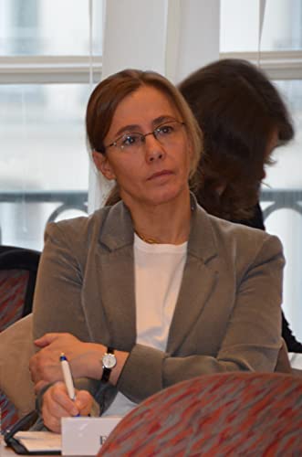 O que é uma sociedade internacional justa?: O Direito Internacional entre o desenvolvimento e o reco