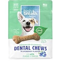 Algopix Similar Product 8 - Fresh Breath by TropiClean Dog Dental