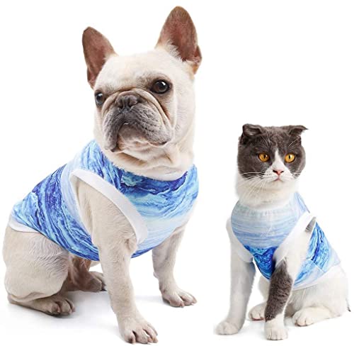 Hotumn Dog Cooling Vest Instant Cooling Dog Clothes Breathable Walking Dog Costume Dog Shirts Summer Tank Top Ice Vest For Small Dogs Cats Walking Exercise Hiking #TOP4
