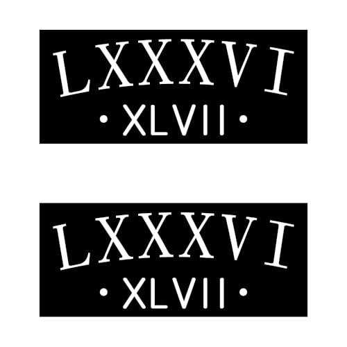 2 Pcs Resist 8647 Decal Roman Numerals LXXXVI XLVII 8647 Anti Protest Subtle Anti Trump Sticker Laptop Bumper Decal Window Waterproof Car Stickers (Rectangle)