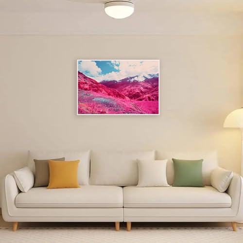 Affiches et impression nature de qualité supérieure paysage de forêt avec cadre blanc - 2