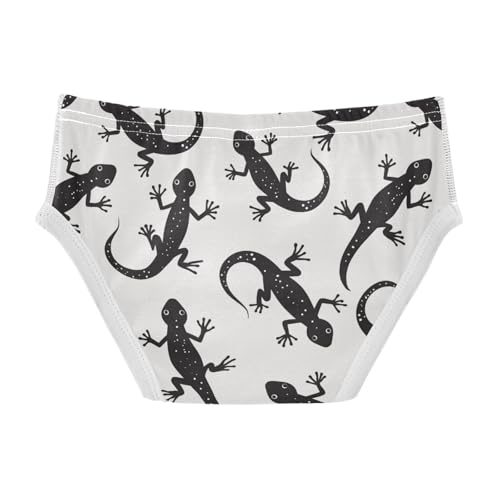 Wusikd Black Gecko Boys' Underwear Cotton Boys Briefs Soft Toddler Underwear 2T2