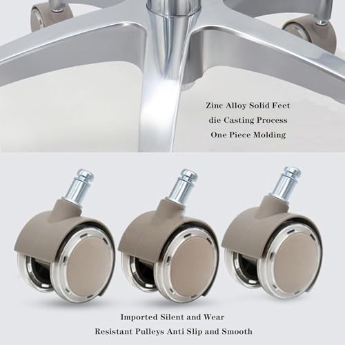 Sedia girevole 360° per assistente dentistico in pelle PU