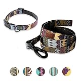 Embark Urban Dog Collar and Leash Set – Azure Dog Collar for Large Dogs with Strong Buckle and Matching 4 Ft Leash, Waterproof, Comfortable, and Perfect for Adult Dogs