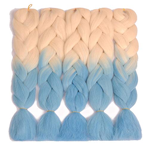 Mayloss 6Pcs/lot Big Plait Jumbo Braid Hair Extension 24inch 100g/pc Long Braids Synthetic Hair Twist Braid Hair Crochet Hair for Women Two Color (1234)