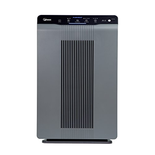 Winix 5300-2 Air Purifier with True HEPA, PlasmaWave and Odor Reducing Carbon Filter,Gray
