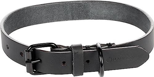 Flamingo Dog Collar Leano Black L 43-53cm 25mm - Image 2